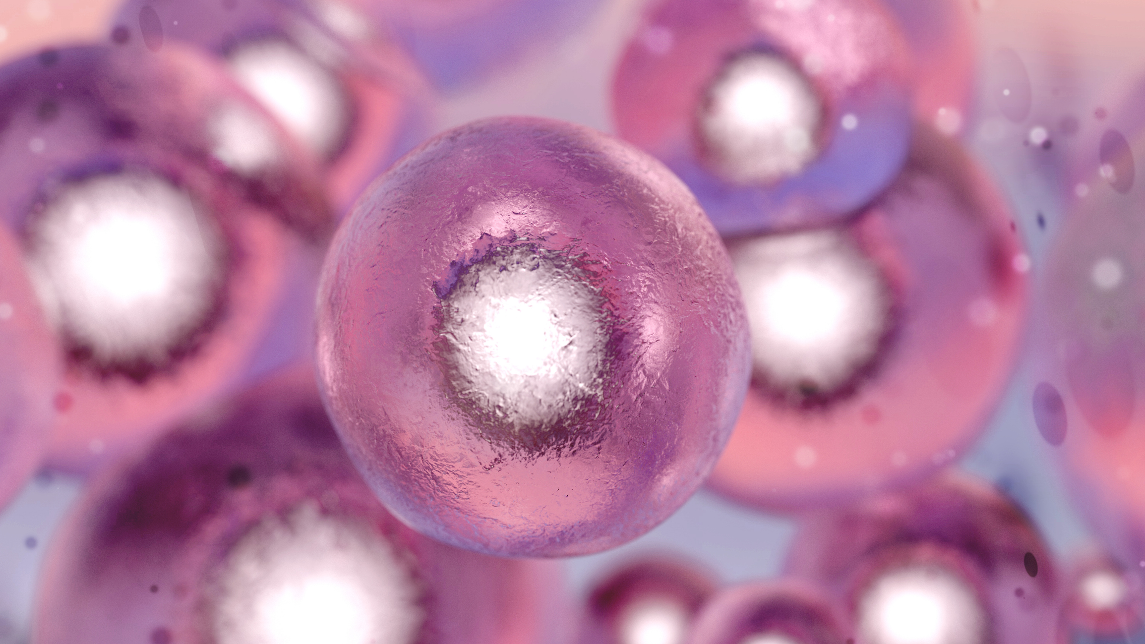 Cell structure multiple choice quiz